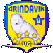 Wappen Viking Grindavik