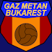 Wappen Gaz Metan Bukarest