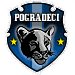 Wappen Partisani Pogradeci
