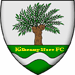 Wappen Kilkenny Nore FC