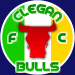 Wappen Clegan Bulls FC