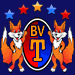 Wappen BV Triesen