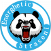 Wappen Energhetic Straseni